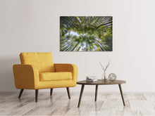 Load image into Gallery viewer, Canvas print Many treetops