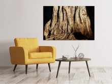 Load image into Gallery viewer, Canvas print Tree Close Up