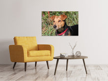 Load image into Gallery viewer, Canvas print Attentive dog