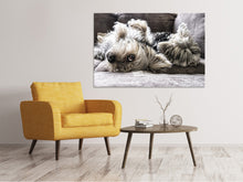 Load image into Gallery viewer, Canvas print 2 cute dogs