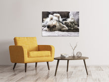 Load image into Gallery viewer, Canvas print 2 cute dogs