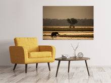 Load image into Gallery viewer, Canvas print Elephant alone in the steppe