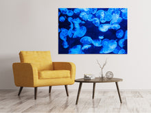 Load image into Gallery viewer, Canvas print Many jellyfish in the blue water