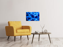Load image into Gallery viewer, Canvas print Many jellyfish in the blue water