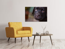 Load image into Gallery viewer, Canvas print Cute labrador puppy