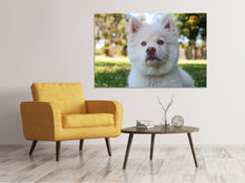Load image into Gallery viewer, Canvas print Sweet dog snout