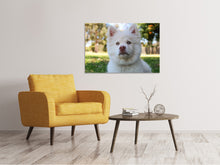 Load image into Gallery viewer, Canvas print Sweet dog snout