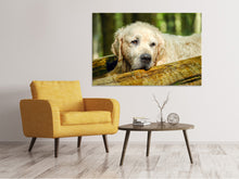 Load image into Gallery viewer, Canvas print Golden Retriever in nature