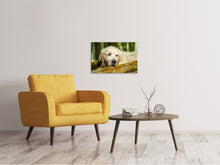 Load image into Gallery viewer, Canvas print Golden Retriever in nature