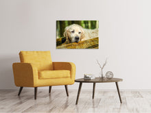 Load image into Gallery viewer, Canvas print Golden Retriever in nature