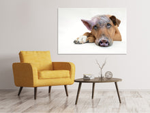 Load image into Gallery viewer, Canvas print The funny pig dog