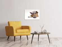 Load image into Gallery viewer, Canvas print The funny pig dog