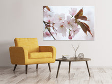 Load image into Gallery viewer, Canvas print Lovely Japanese cherry