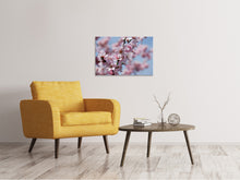 Load image into Gallery viewer, Canvas print Japanese cherry tree close up