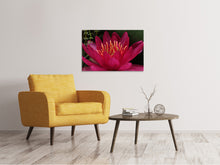 Load image into Gallery viewer, Canvas print Wonderful water lily