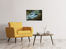 Load image into Gallery viewer, Canvas print Eyecatcher waterfall