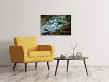 Load image into Gallery viewer, Canvas print Eyecatcher waterfall