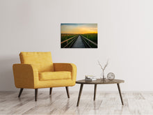 Load image into Gallery viewer, Canvas print Sunset in the fields