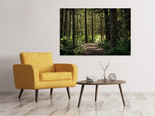 Load image into Gallery viewer, Canvas print Many trees