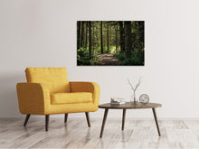 Load image into Gallery viewer, Canvas print Many trees