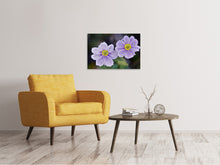 Load image into Gallery viewer, Canvas print 2 flowers