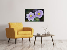 Load image into Gallery viewer, Canvas print 2 flowers
