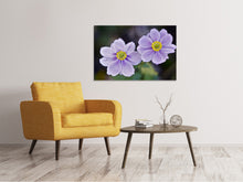 Load image into Gallery viewer, Canvas print 2 flowers