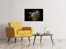 Load image into Gallery viewer, Canvas print The lion couple
