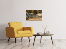Load image into Gallery viewer, Canvas print The Nile crocodile