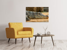 Load image into Gallery viewer, Canvas print The Nile crocodile