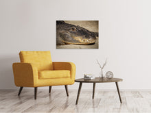 Load image into Gallery viewer, Canvas print Attention alligator!