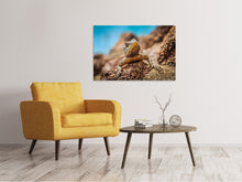 Load image into Gallery viewer, Canvas print Little alligator