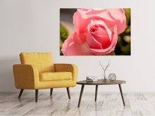 Load image into Gallery viewer, Canvas print The rose in pink