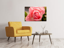 Load image into Gallery viewer, Canvas print The rose in pink