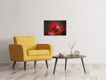 Load image into Gallery viewer, Canvas print Red rose in XL