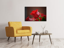 Load image into Gallery viewer, Canvas print Red rose in XL