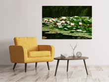 Load image into Gallery viewer, Canvas print A field full of water lilies