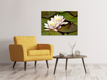 Load image into Gallery viewer, Canvas print Water lily duo in white