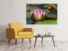 Load image into Gallery viewer, Canvas print XL water lily in pink
