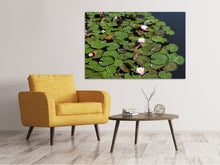 Load image into Gallery viewer, Canvas print White water lilies in the pond