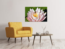 Load image into Gallery viewer, Canvas print The bee on the water lily