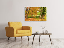 Load image into Gallery viewer, Canvas print In the middle of autumn trees