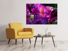 Load image into Gallery viewer, Canvas print The rhododendron