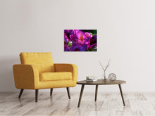 Load image into Gallery viewer, Canvas print The rhododendron