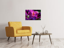 Load image into Gallery viewer, Canvas print The rhododendron
