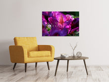 Load image into Gallery viewer, Canvas print The rhododendron