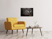 Load image into Gallery viewer, Canvas print Fantasy in the forest