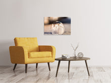Load image into Gallery viewer, Canvas print Ornate bubble