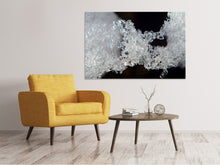 Load image into Gallery viewer, Canvas print Ice crystals XL