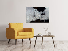Load image into Gallery viewer, Canvas print Ice crystals XL